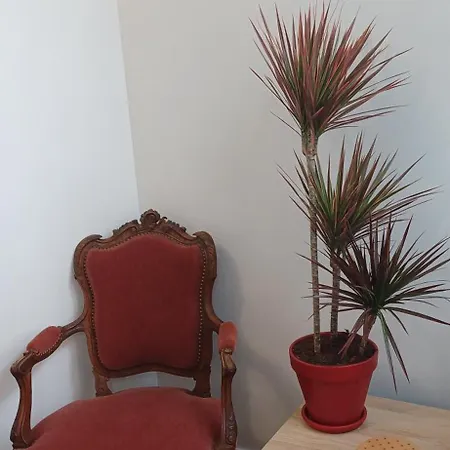 2 Chambres, Les Dentellieres De La Cathedrale * Troyes