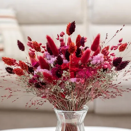 Apartamento 2 Chambres, Les Dentellieres De La Cathedrale Troyes