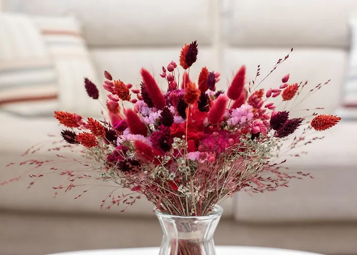 Apartamento 2 Chambres, Les Dentellieres De La Cathedrale Troyes